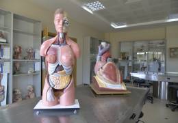Anatomy Model Hall