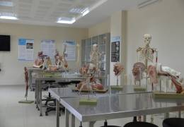 Anatomy Model Hall