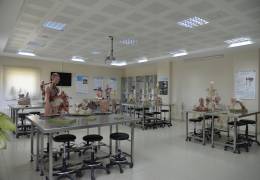 Anatomy Model Hall