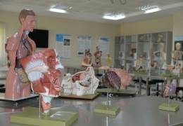 Anatomy Model Hall