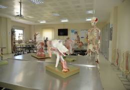 Anatomy Model Hall