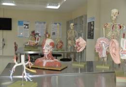 Anatomy Model Hall