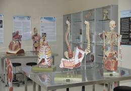 Anatomy Model Hall