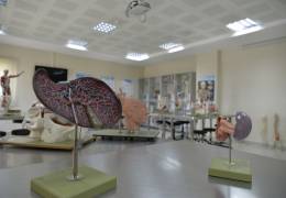 Anatomy Model Hall