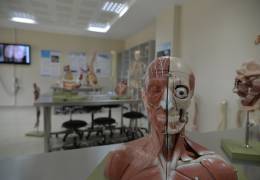 Anatomy Model Hall