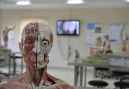 Anatomy Model Hall