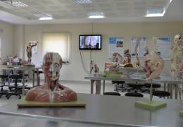 Anatomy Model Hall