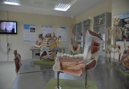 Anatomy Model Hall