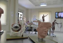 Anatomy Model Hall