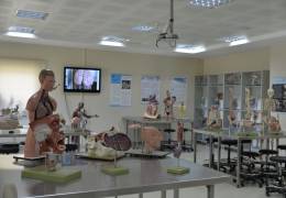 Anatomy Model Hall