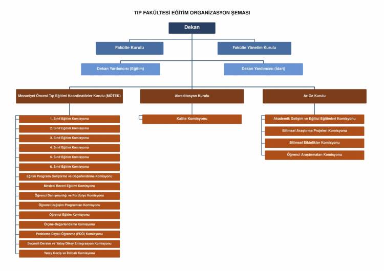 Organizasyon Şeması