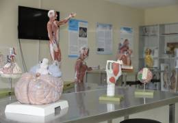 Anatomy Model Hall