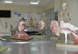 Anatomy Model Hall