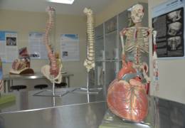 Anatomi Lab.
