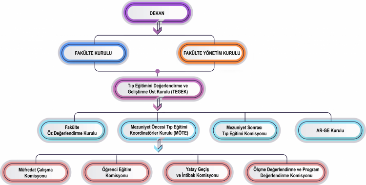 Tıp Fakültesi Eğitimi Organizasyon Şeması